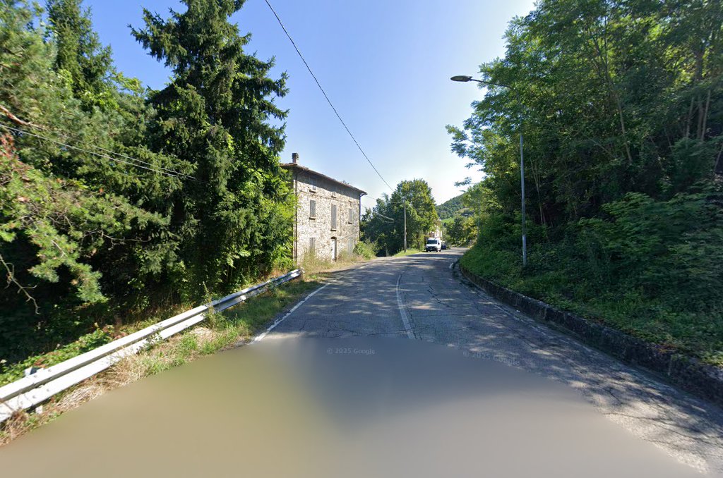 Buvolo
