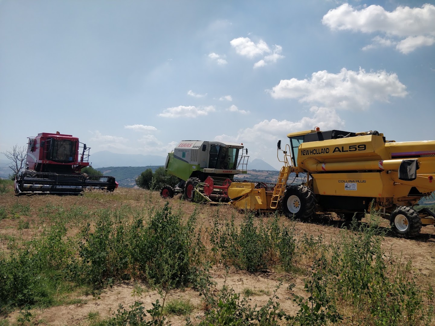 C.M.T. di Saccone Minicozzi Antonio, Vendita Mietitrebbie e Macchine Agricole, Paduli