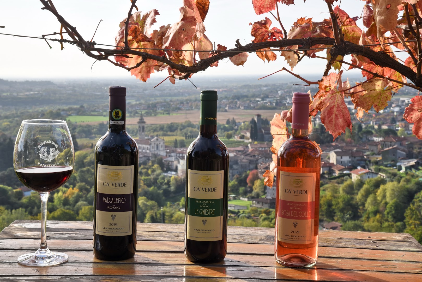 Ca' Verde - Vino biologico - produzione vendita