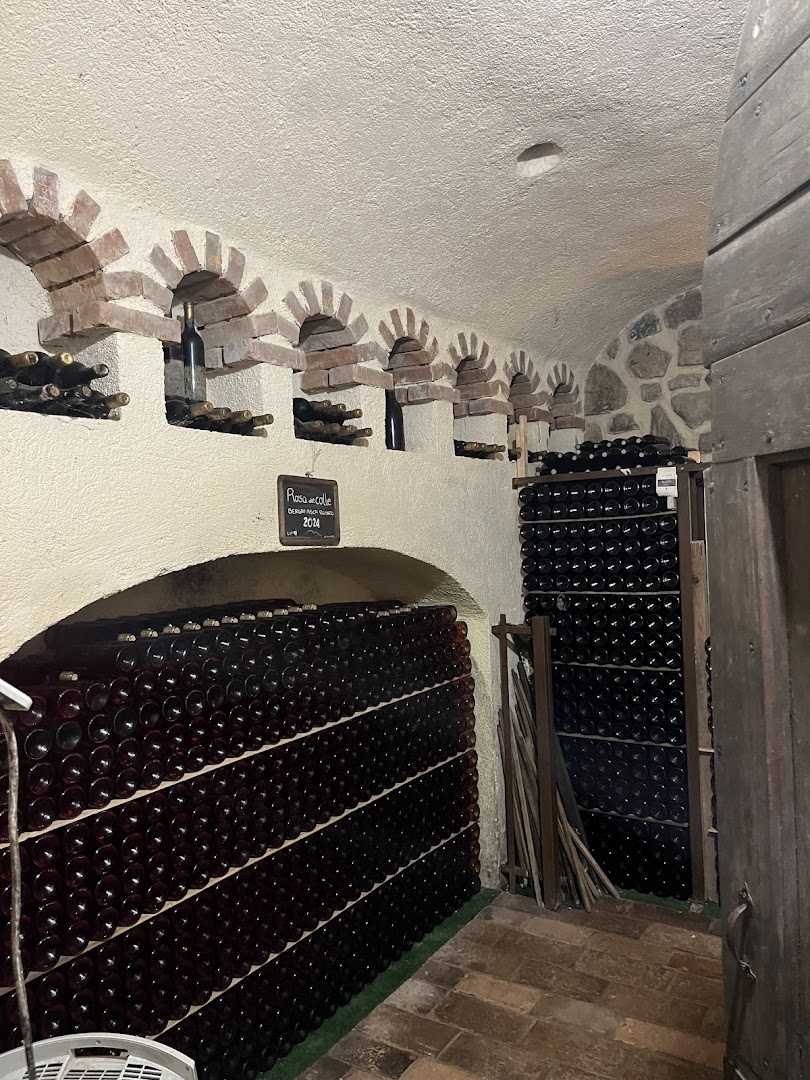 Ca' Verde - Vino biologico - produzione vendita