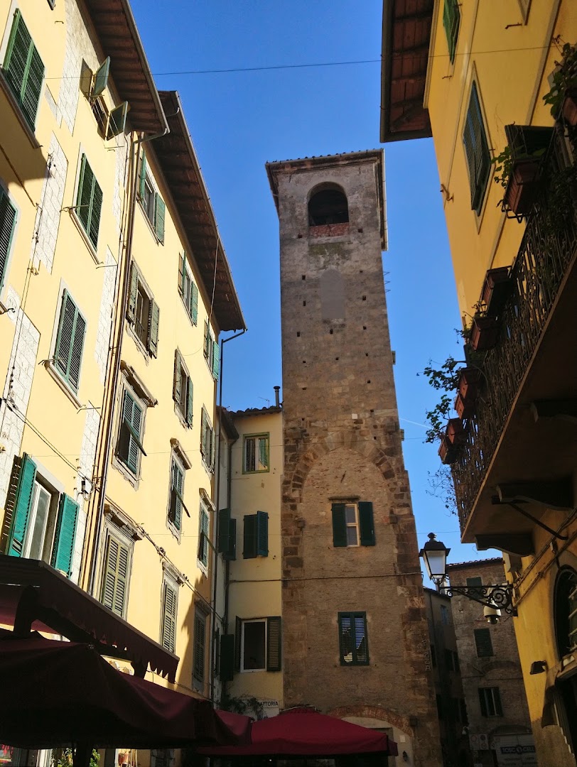 Cafè Albatross, Pisa