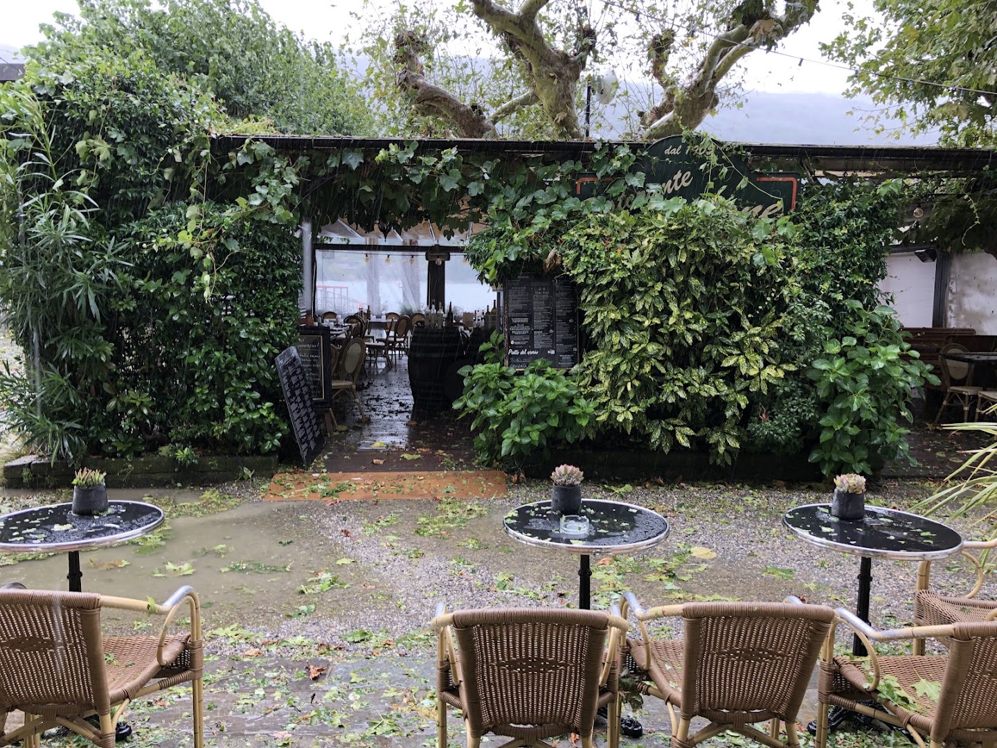 Cafè & Bistrot - Villa Taranto - Pallanza (vb)