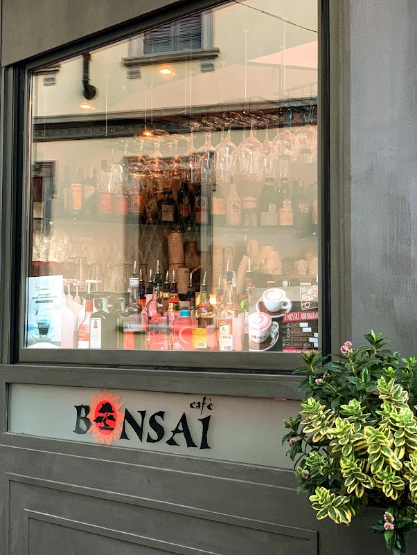 Cafe Bonsai, Lodi