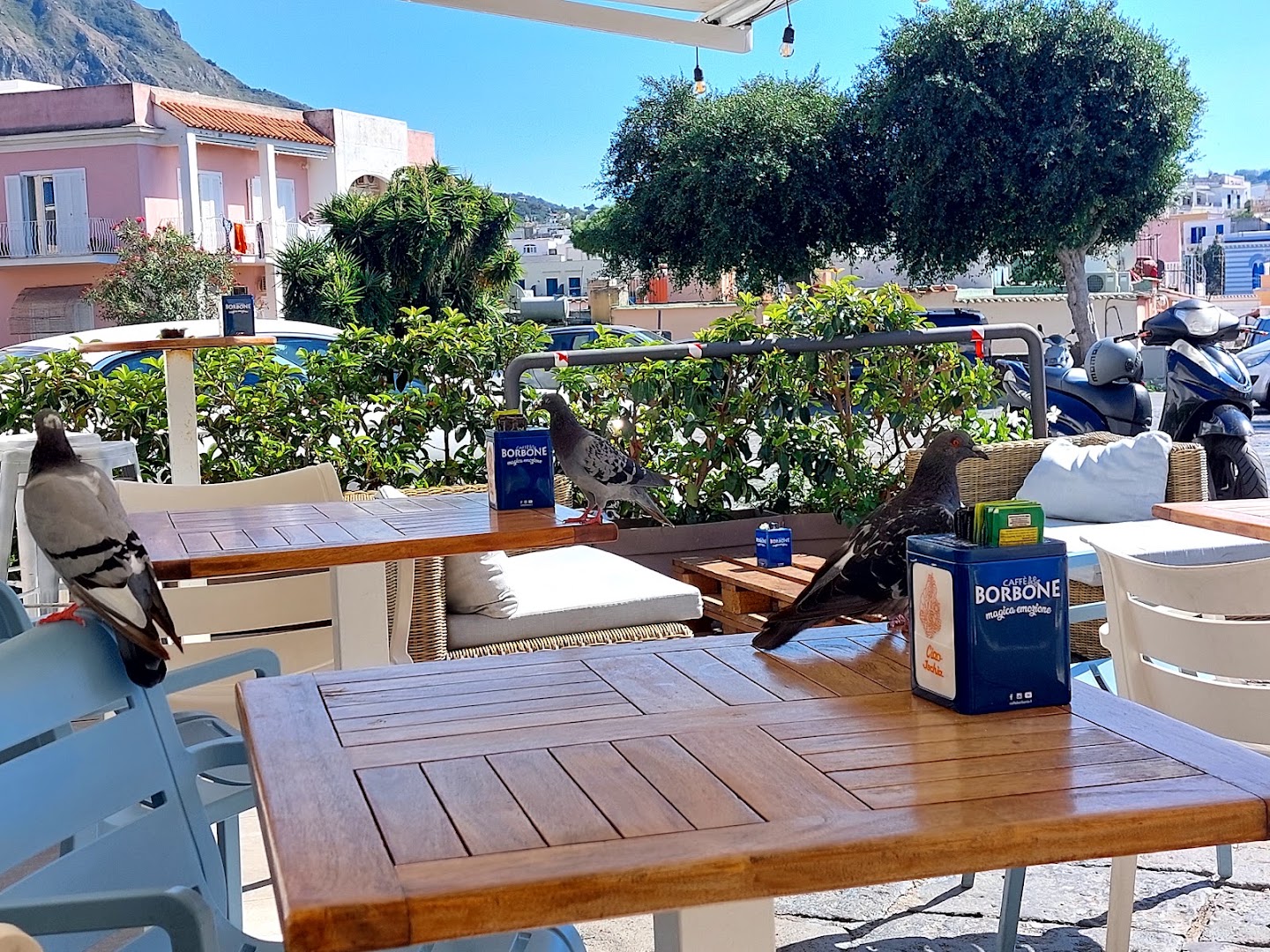 Café Centrale