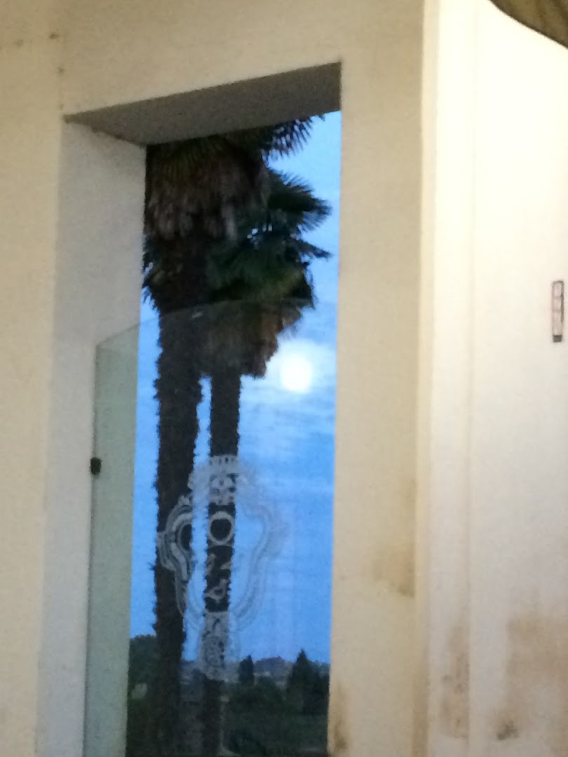 Cafè del Conte Amico
