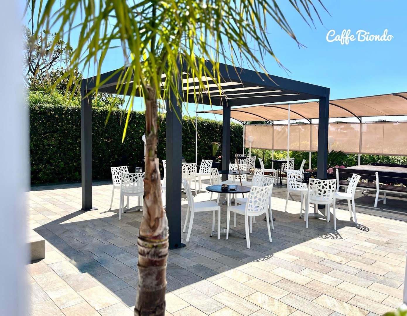 Caffè Biondo