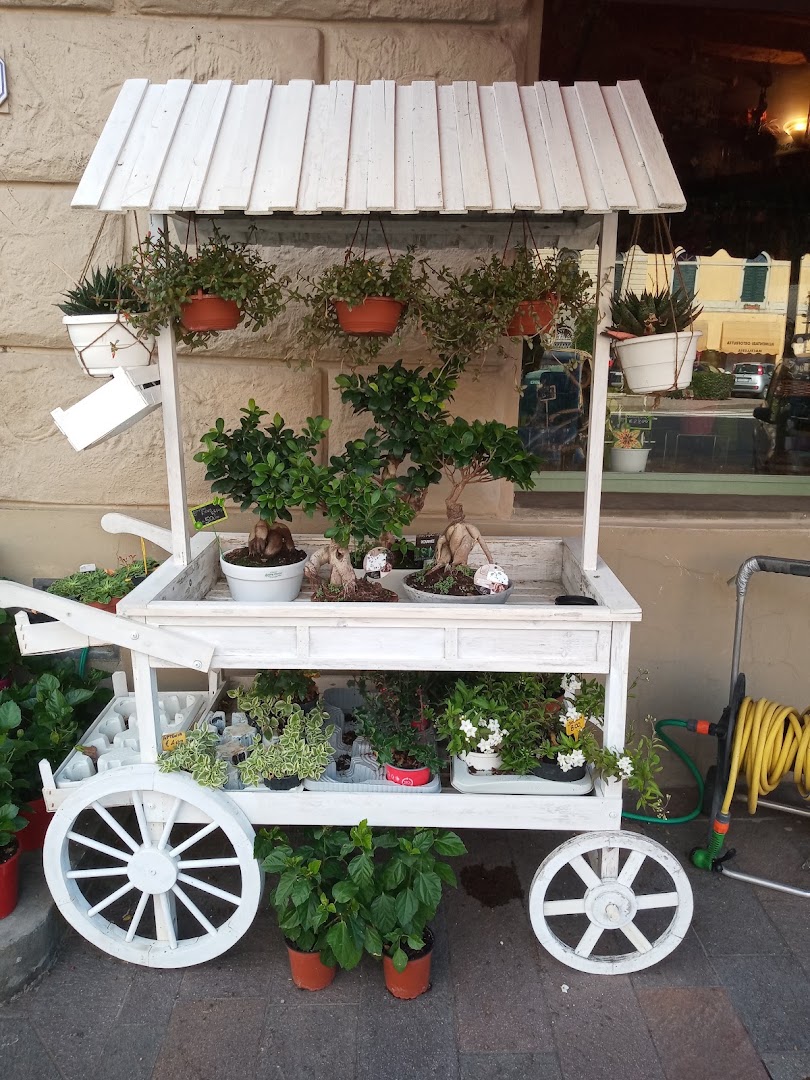 Caffè Bottegone