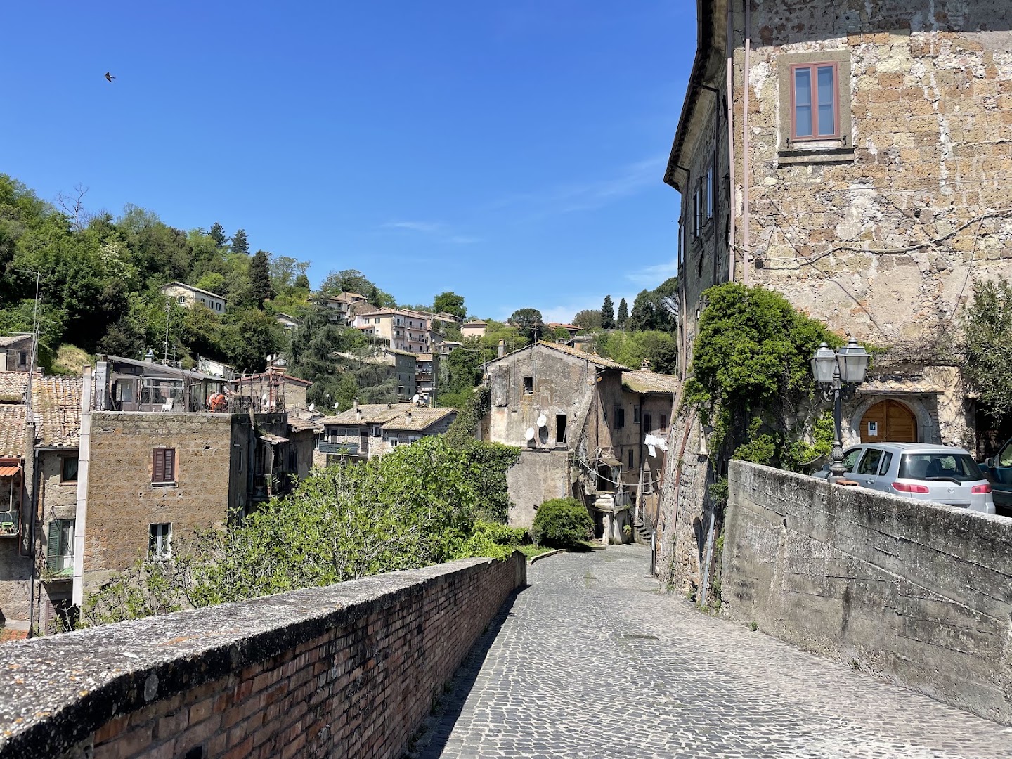 Caffè del Falco