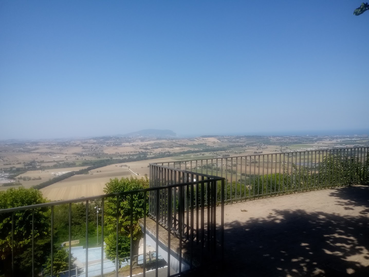 Caffè dello Sport