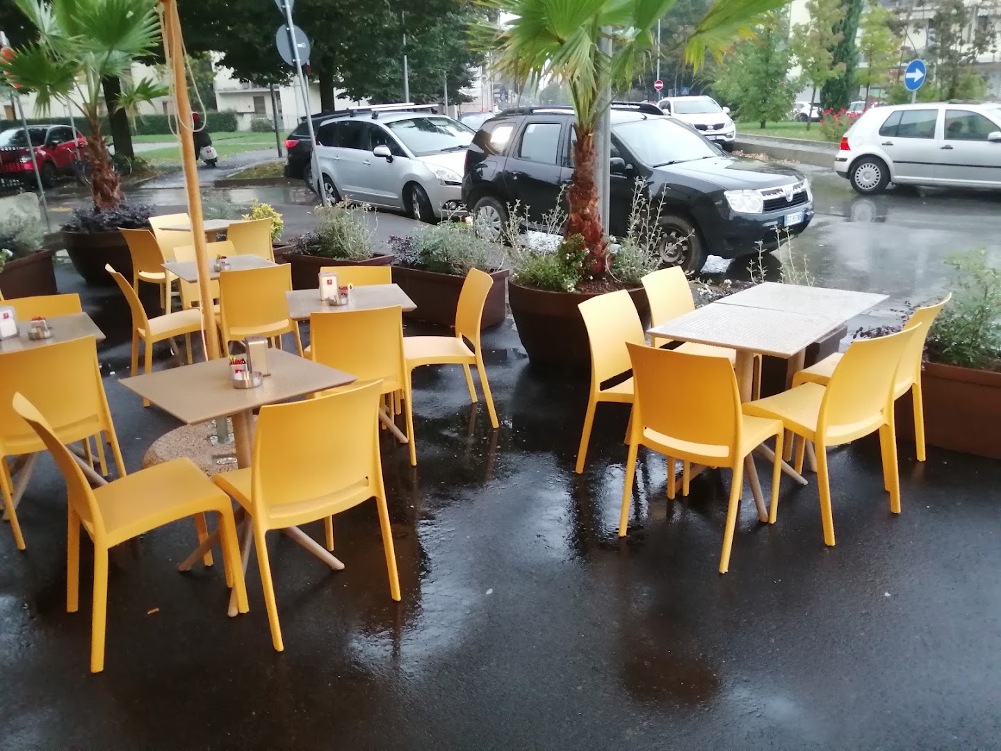 Caffè Vedrai