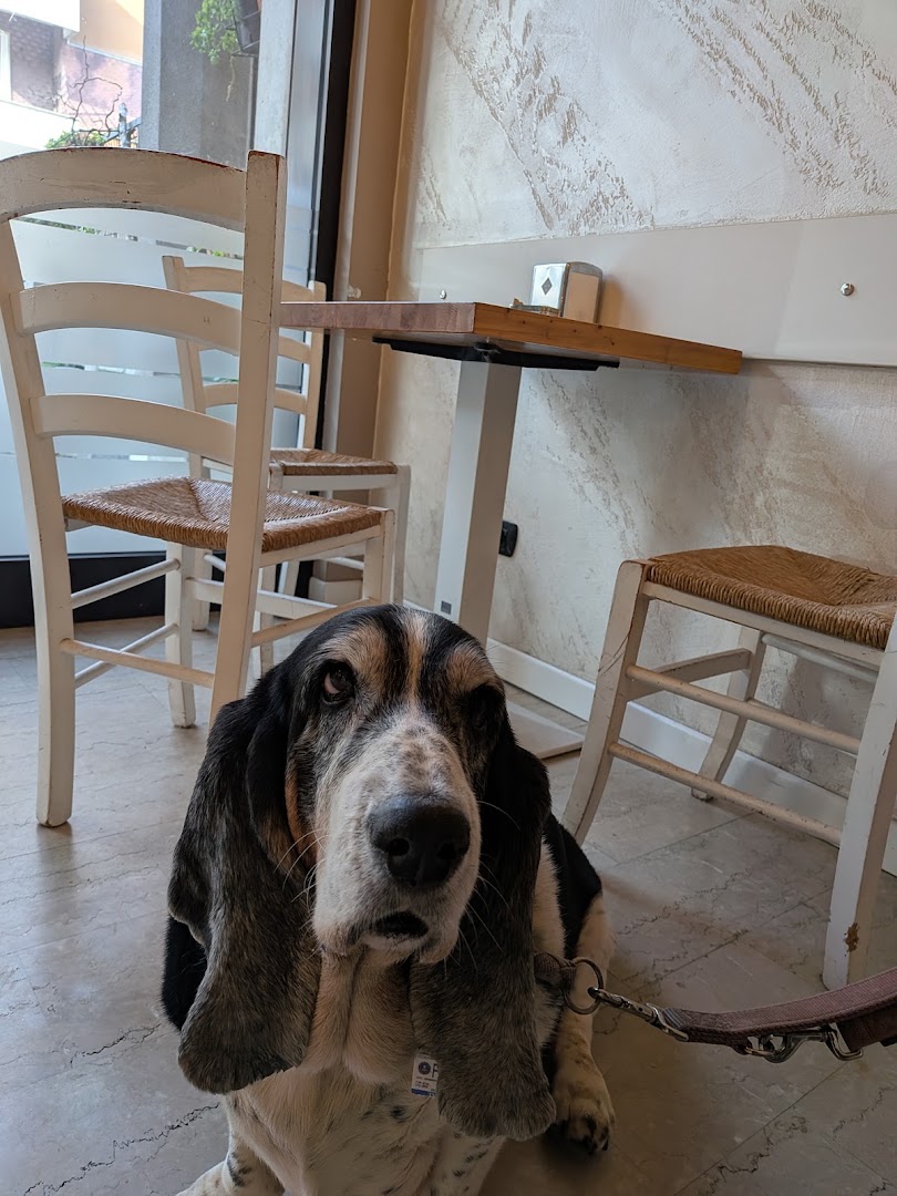 Caffetteria Alla Mia, San Donato Milanese