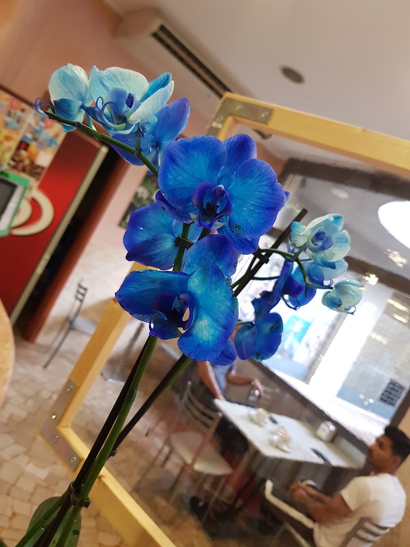 Caffetteria Dolce Vita Di Bianchi.S & Malici A. Snc