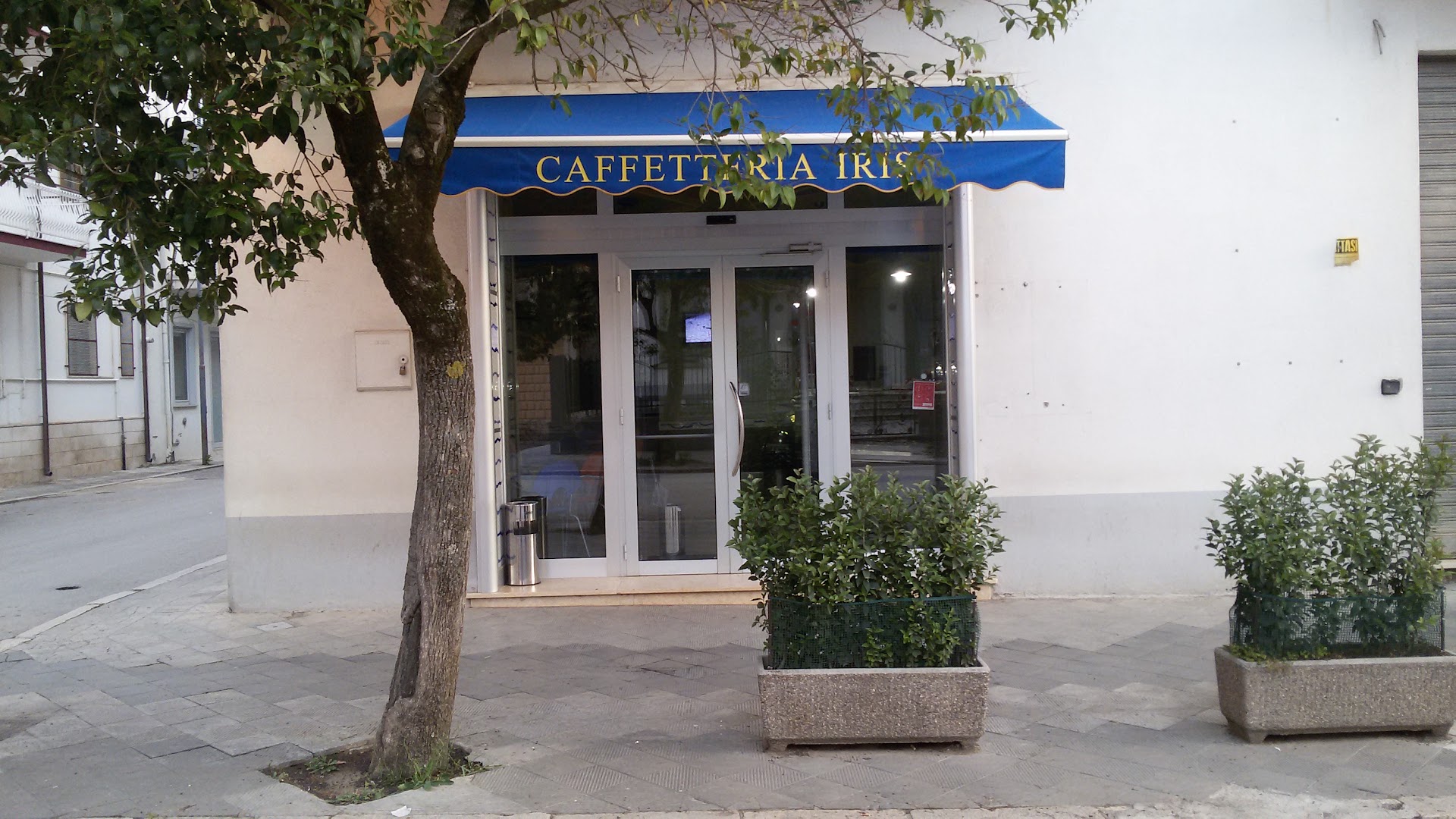 Caffetteria Iris