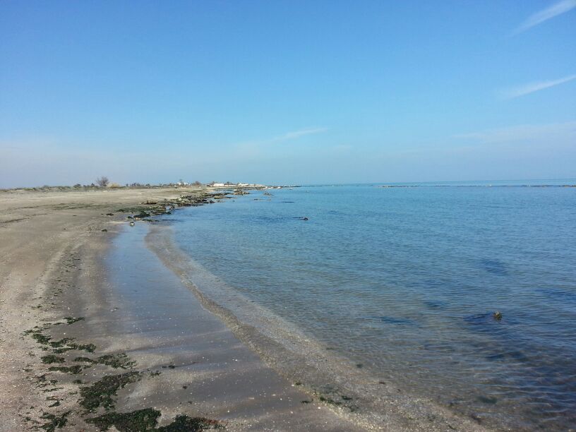 Caffetteria Mediterranea, Barletta