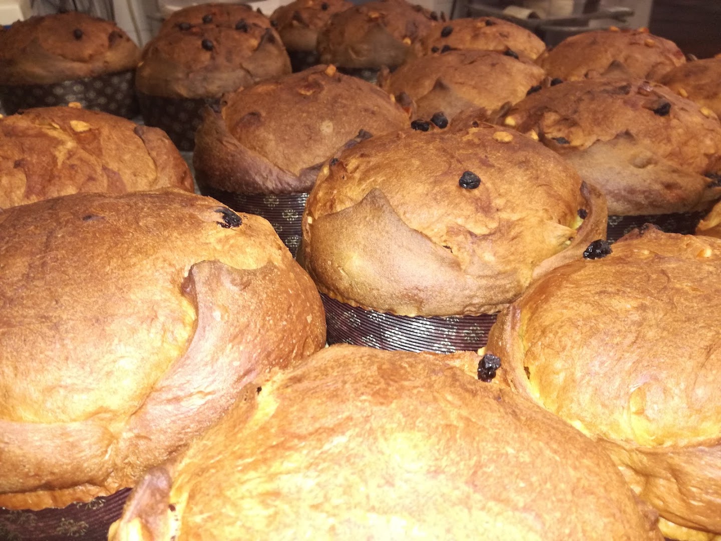 Caffetteria Pasticceria Anna
