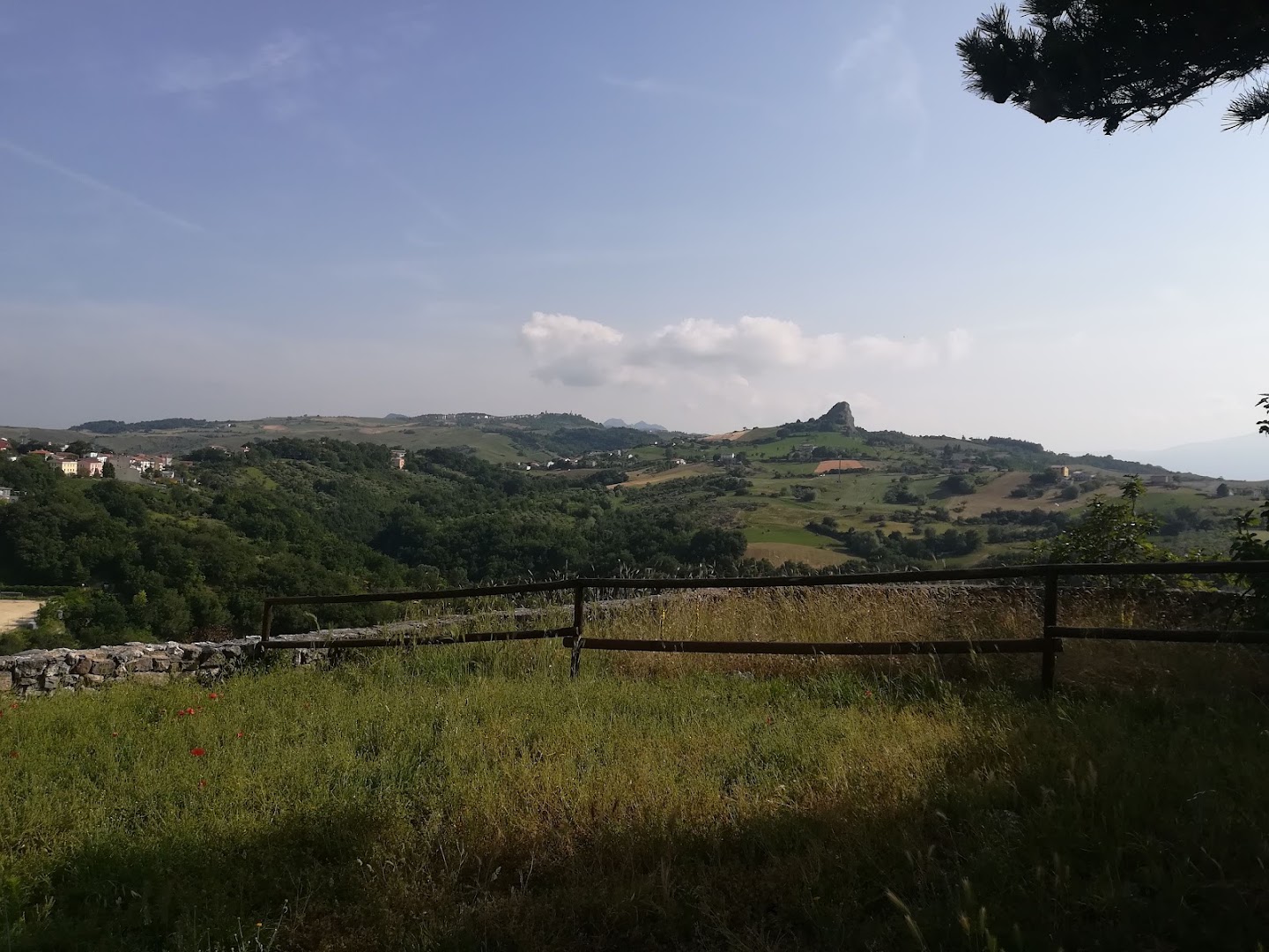 Caffetteria Tiberini