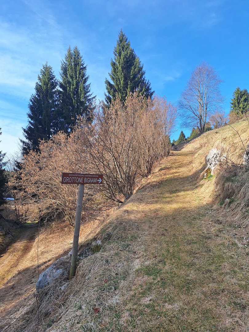 CAI 666 Antica strada del Costo, Cogollo del Cengio