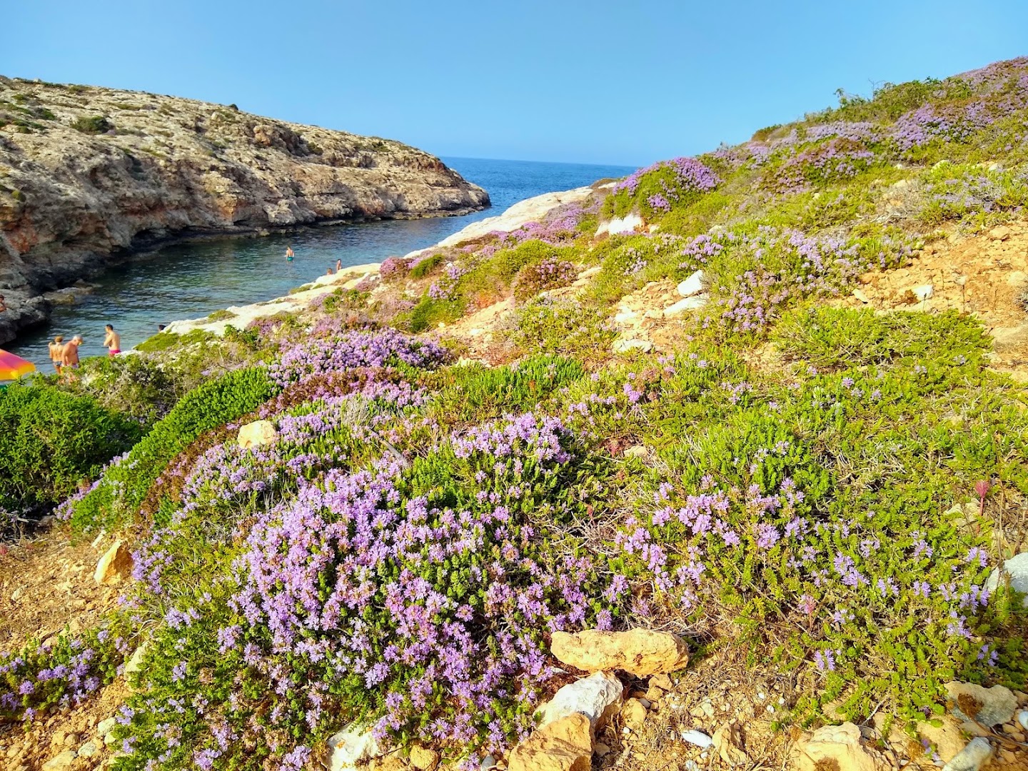 Cala Uccello