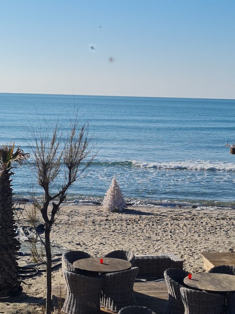 Calathea Beach Club - Lido Verde