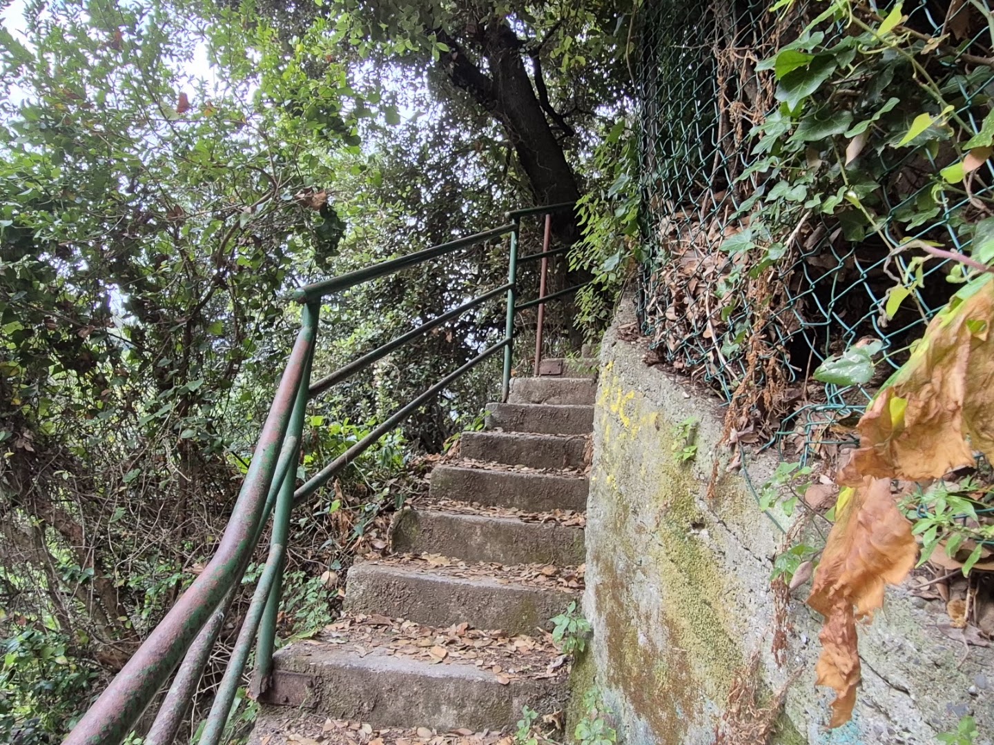 Caletta di Maramozza, Lerici