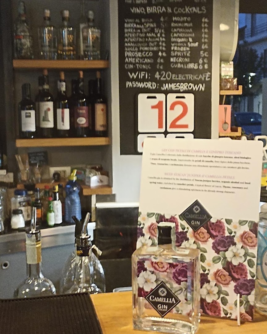 Camellia Gin Tuscany, Lucca