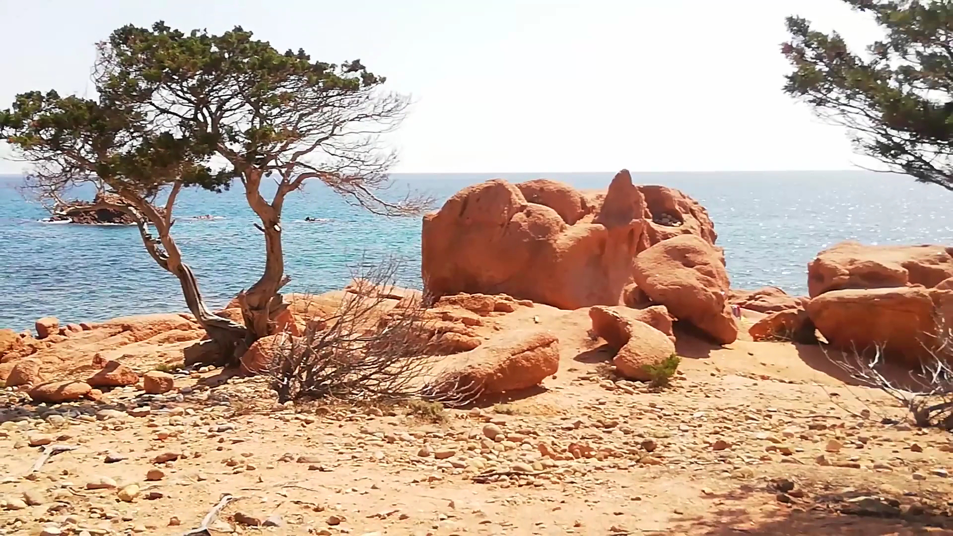 Camping Coccorrocci