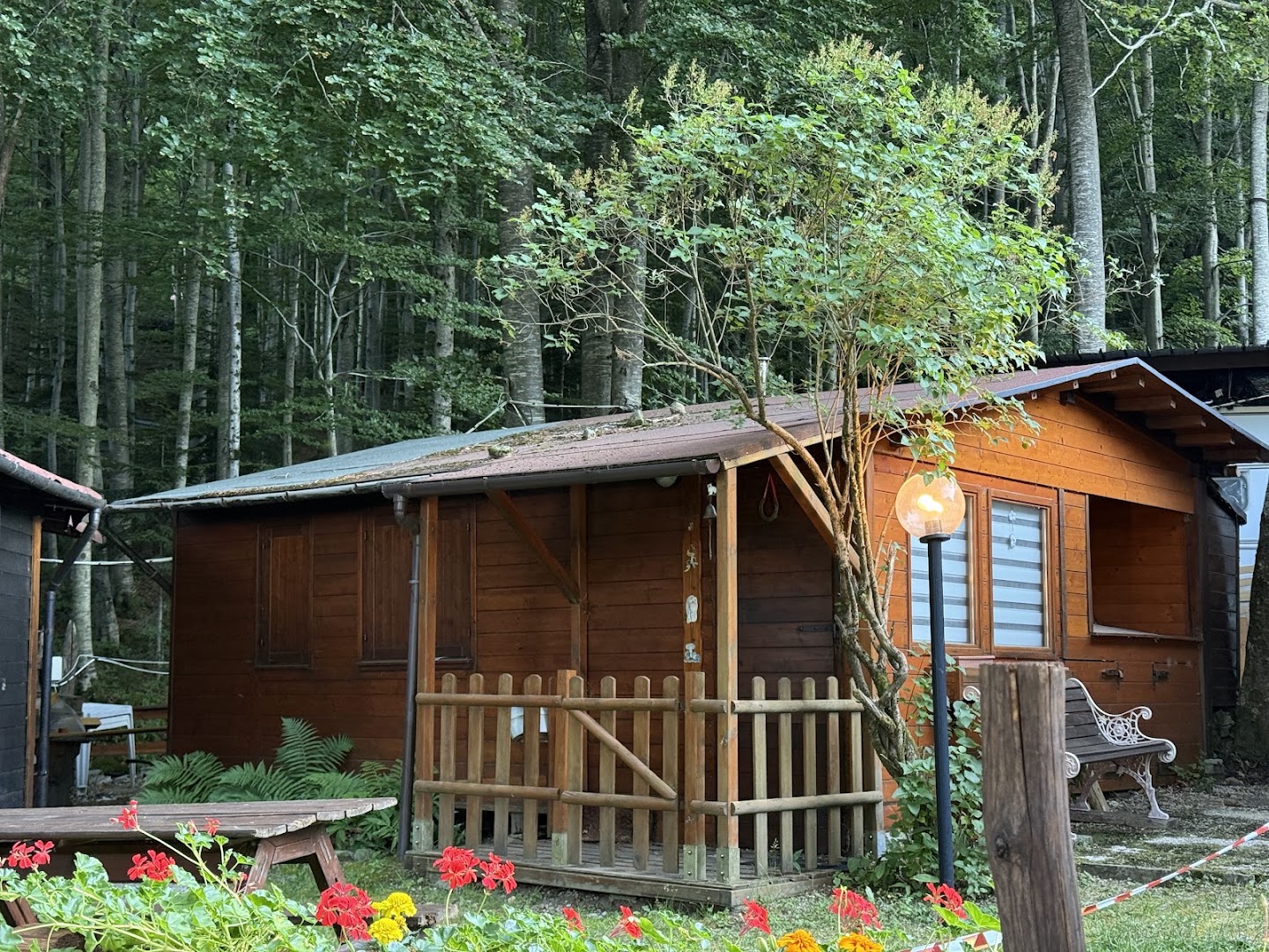 Camping Il Pinguino