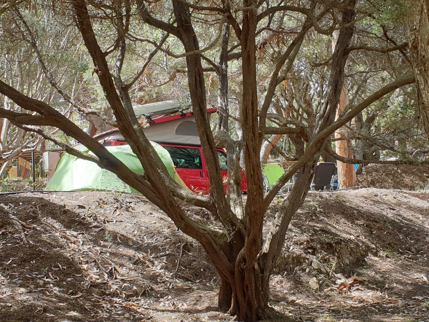 Camping La Liccia