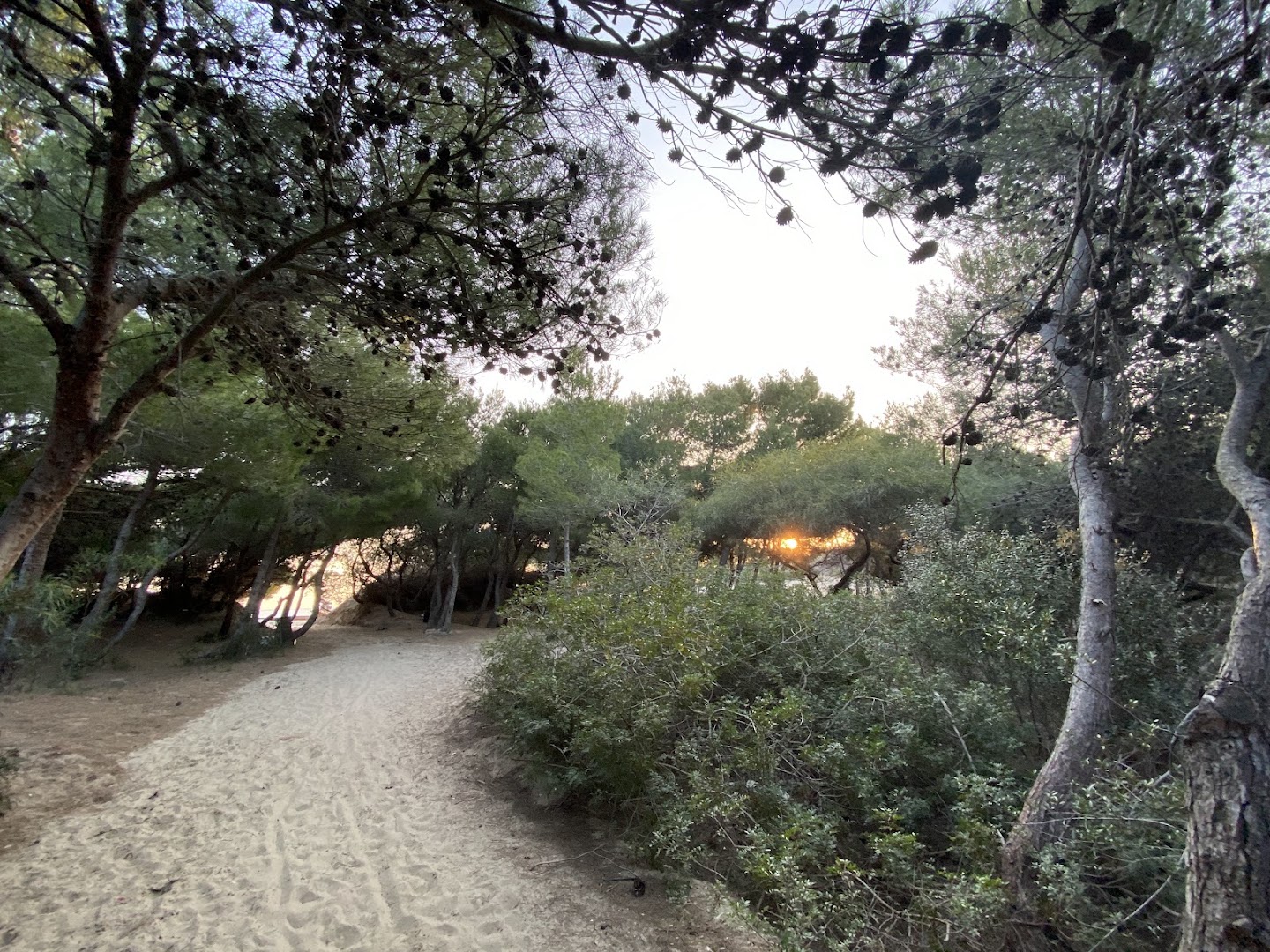 CAMPING VILLAGE CORRADO - MARE - MOLISE