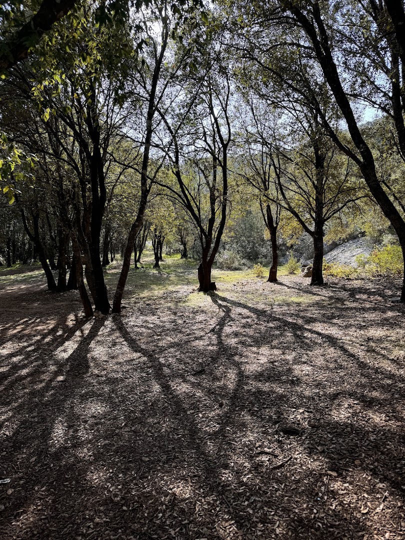 Campo base Lanaitho