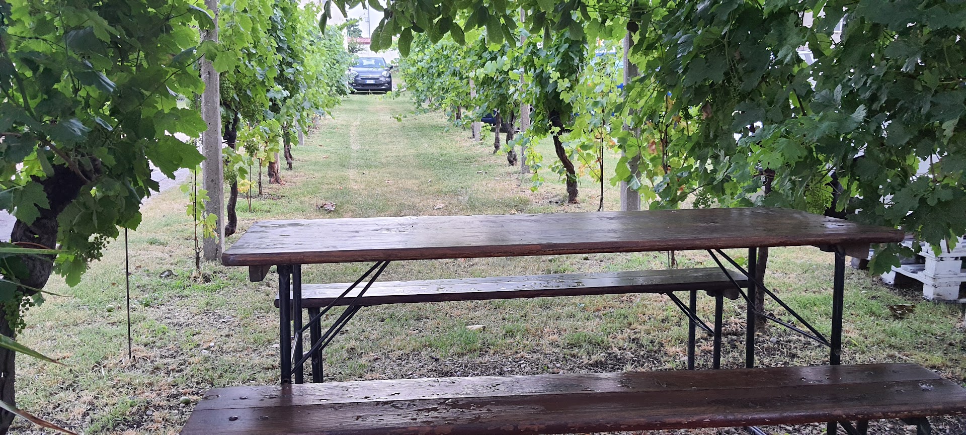 Campolessi di Gemona, Gemona del Friuli