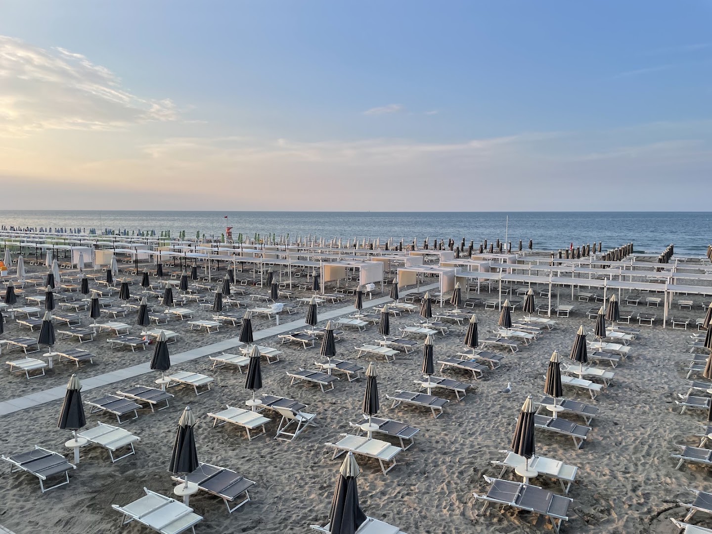 Canasta Mare