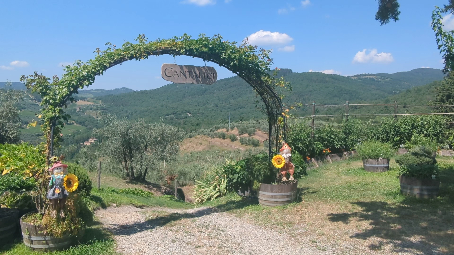 Cantalici Winery - L'Antica Fornace Di Ridolfo