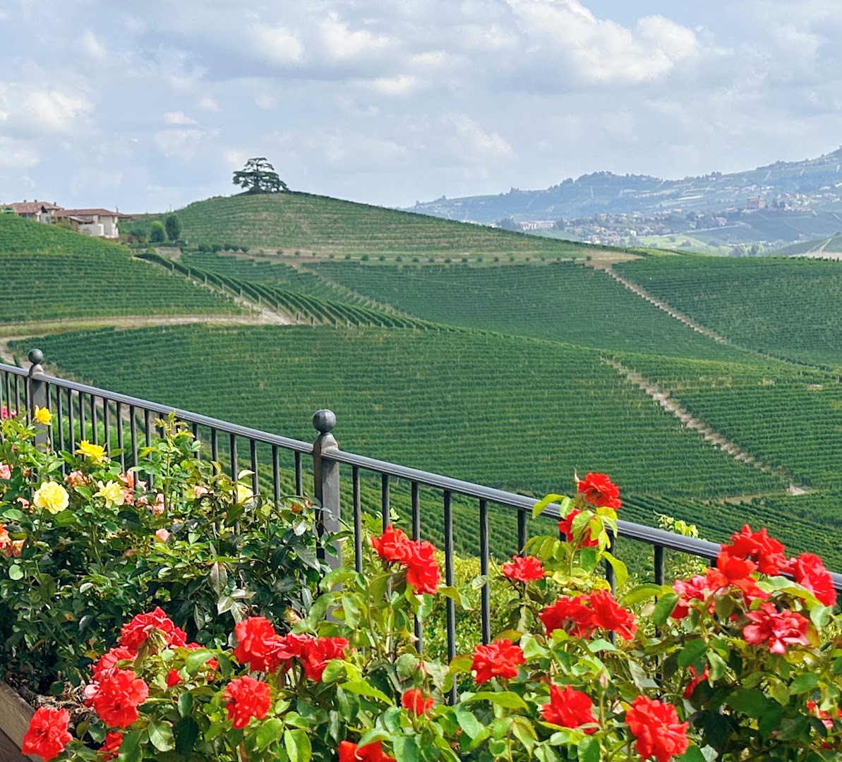 Cantina Agricola Marrone