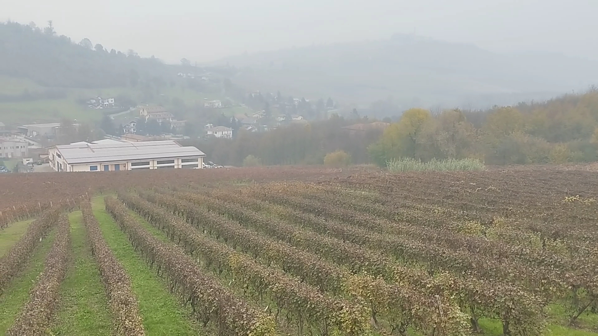 Cantina Amerio Vincenzo - Agriturismo Ca del Nono