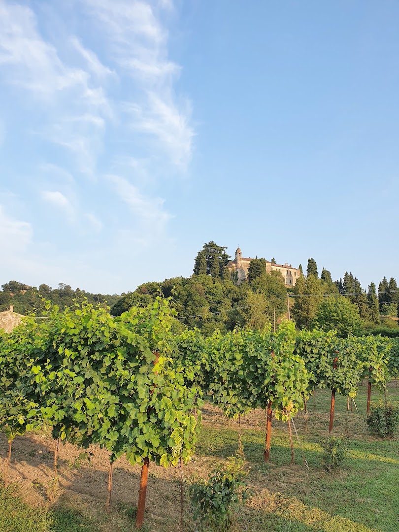 Cantina Bernardi Giovanni, Torreglia