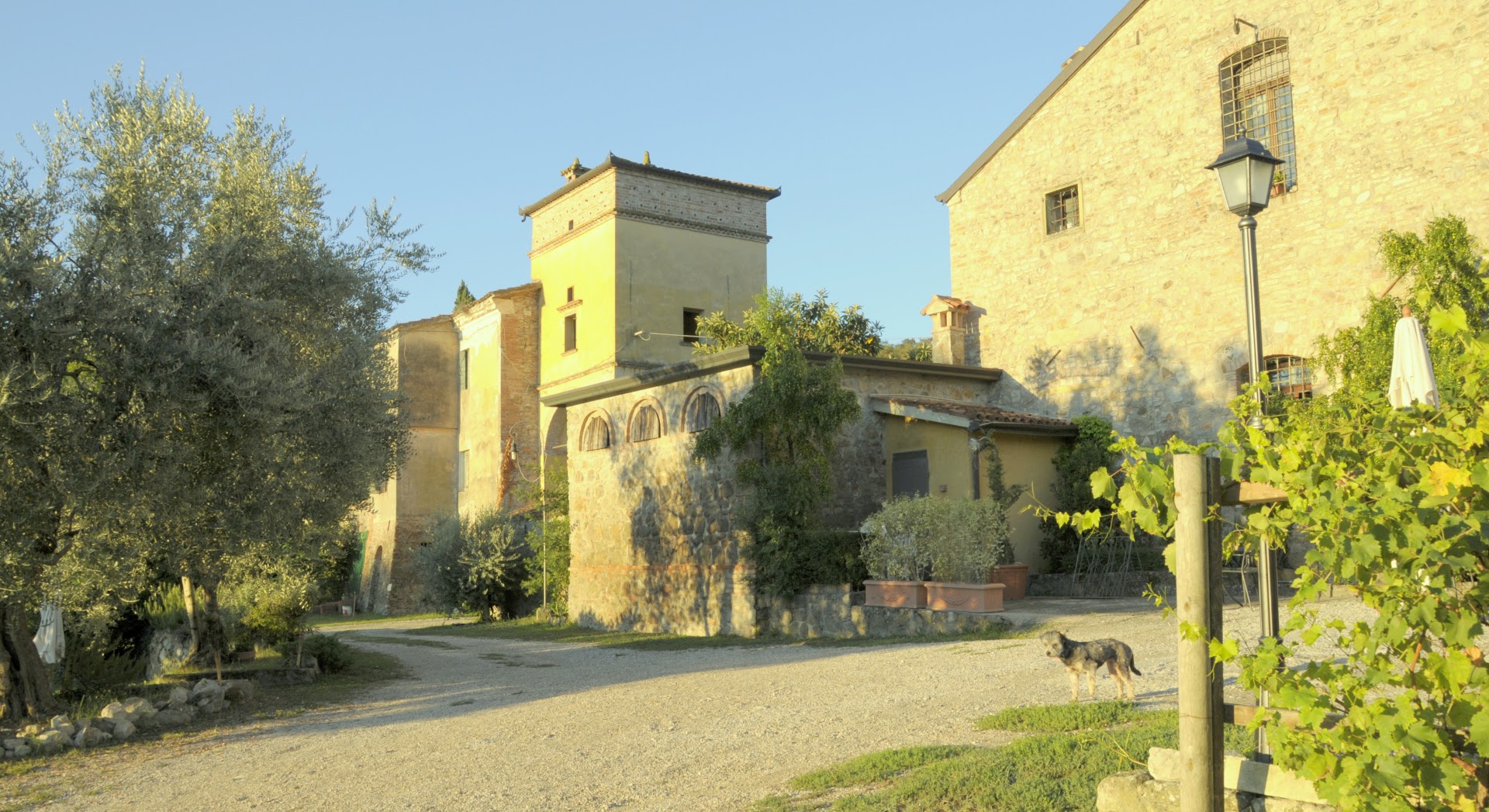 Cantina Bernardi Giovanni