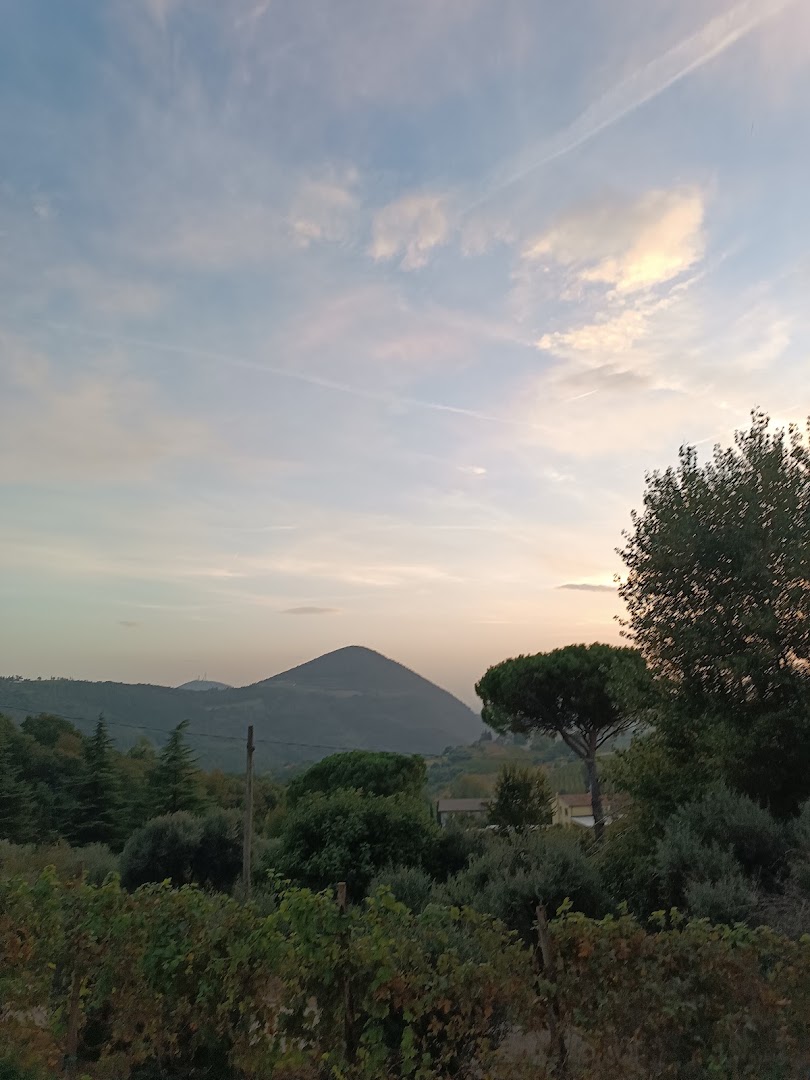 Cantina Ca' Lustra Zanovello