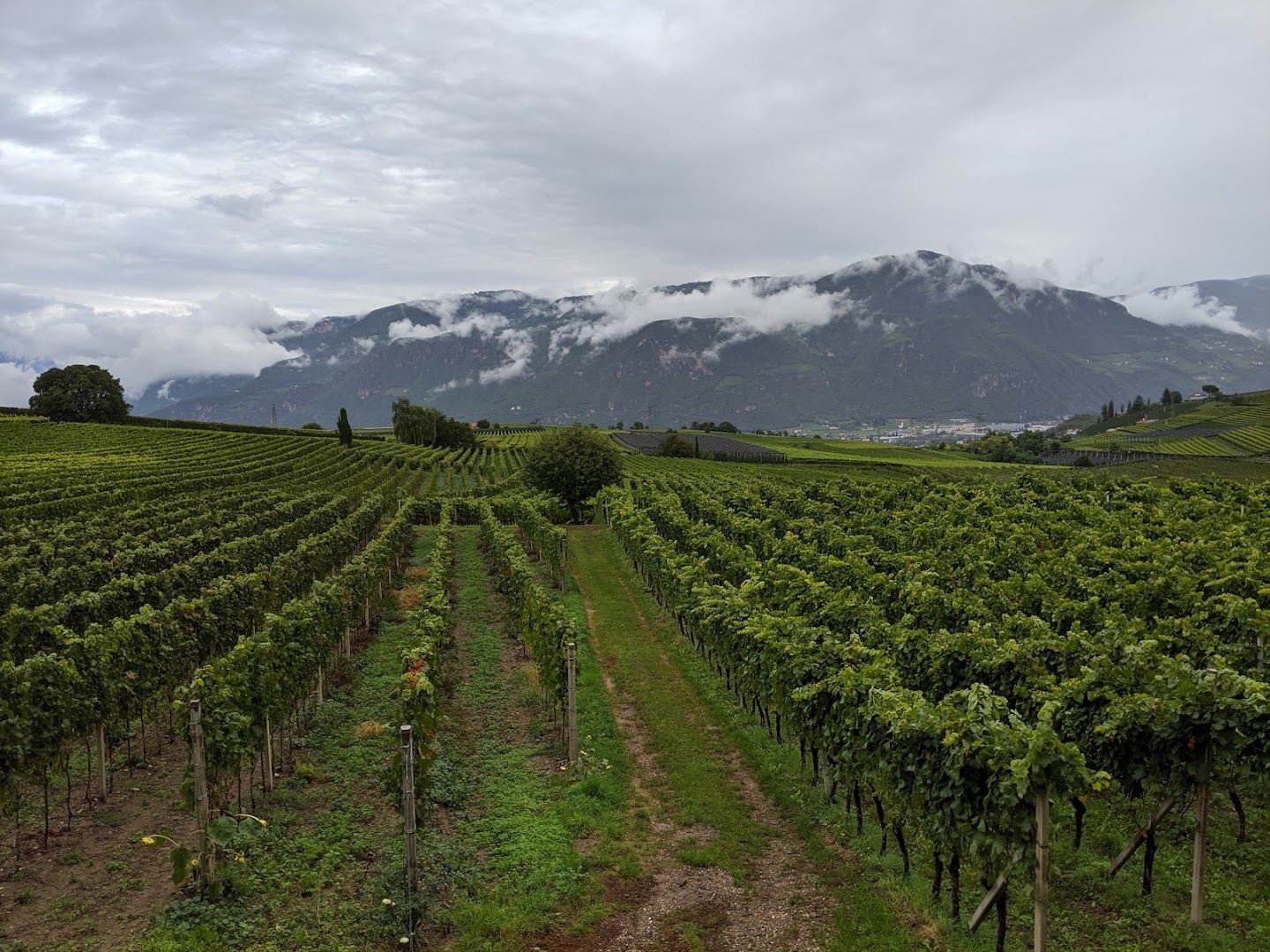 Cantina Colterenzio