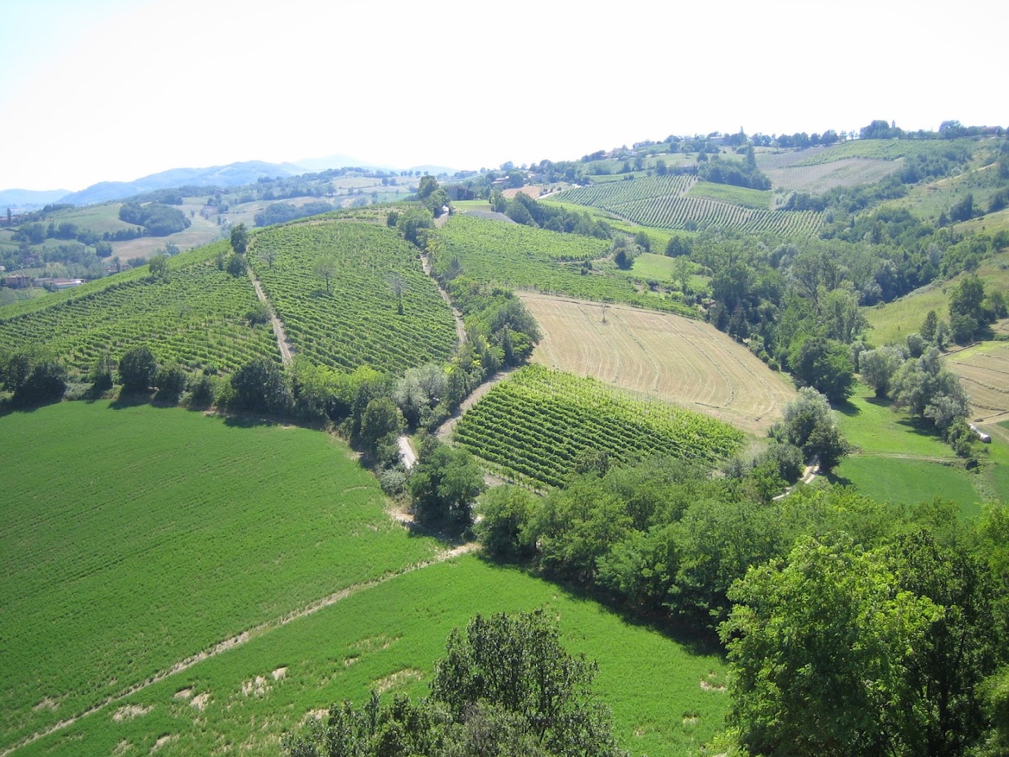 Cantina del Borgo