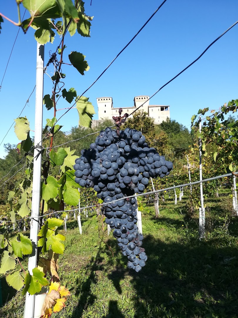 Cantina del Borgo