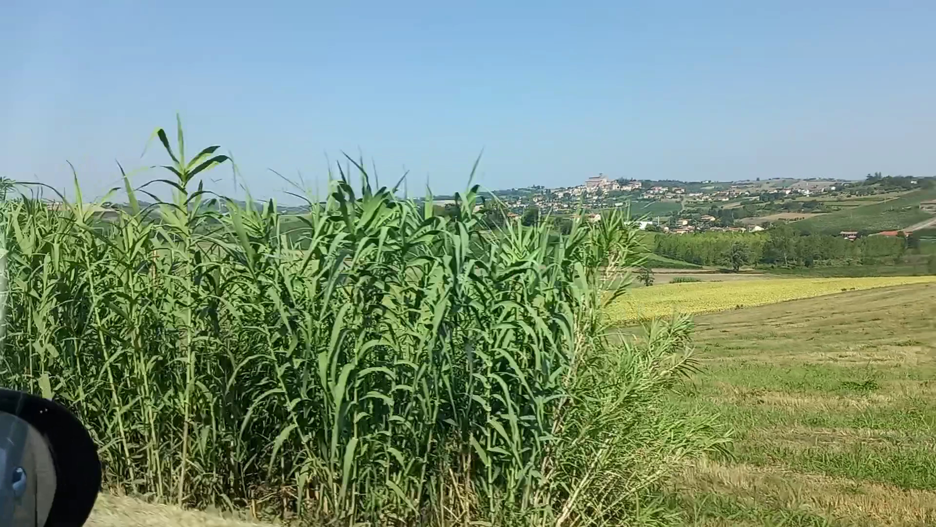 Cantina del Monferrato