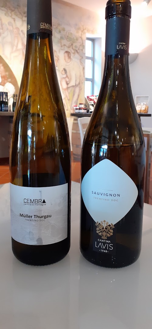 Cantina di La-Vis e Valle di Cembra