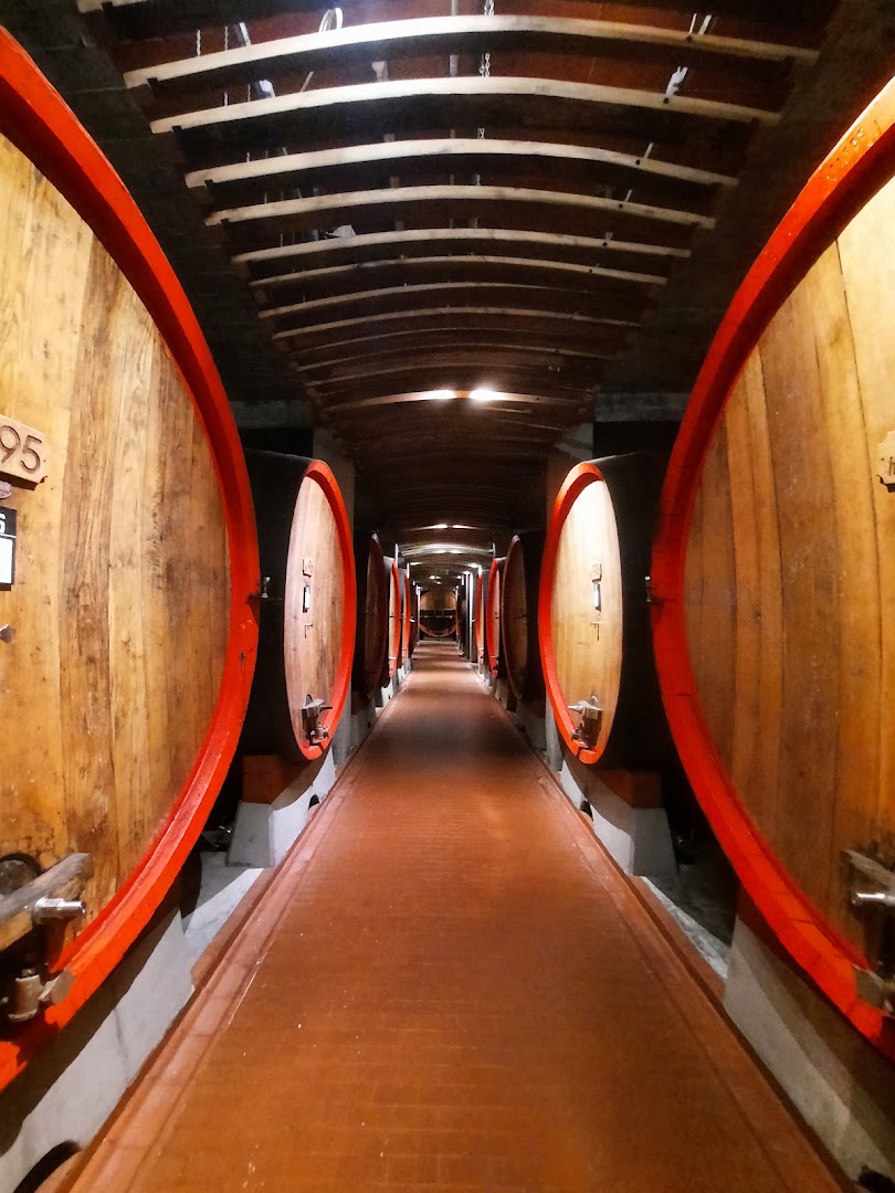 Cantina di La-Vis e Valle di Cembra