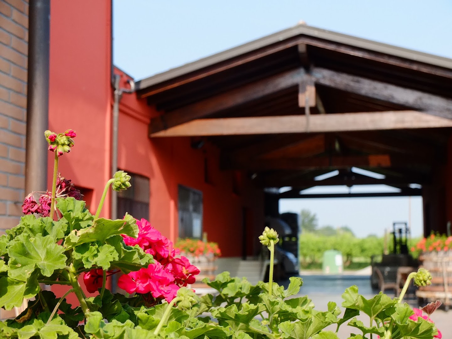 Cantina Fantesini Società Agricola