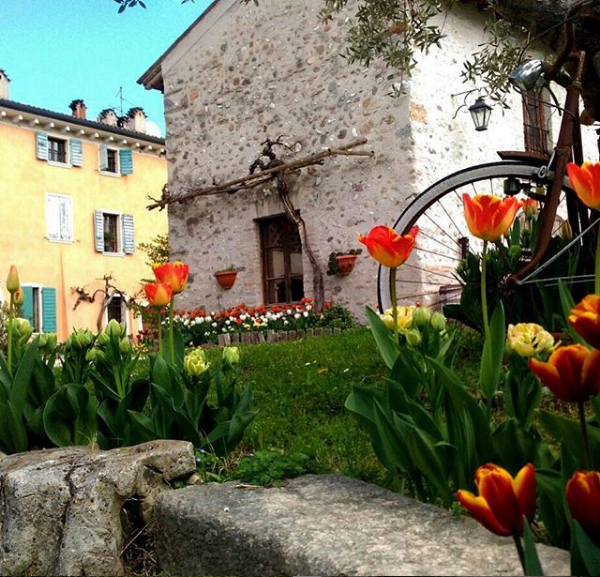Cantina Gozzi Azienda Agricola