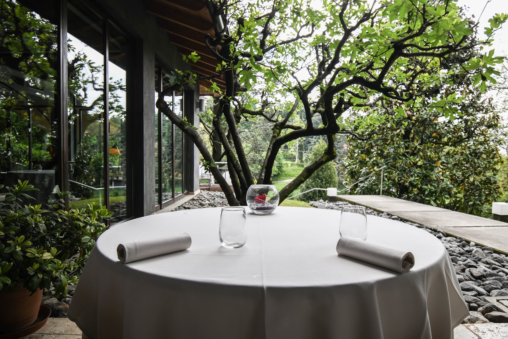 Cantina Lemine - Ristorante | Matrimoni | Momenti speciali