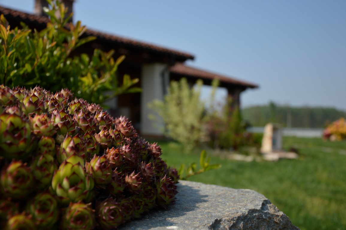 Cantina Maero Vini - Pelaverga Colline Saluzzesi