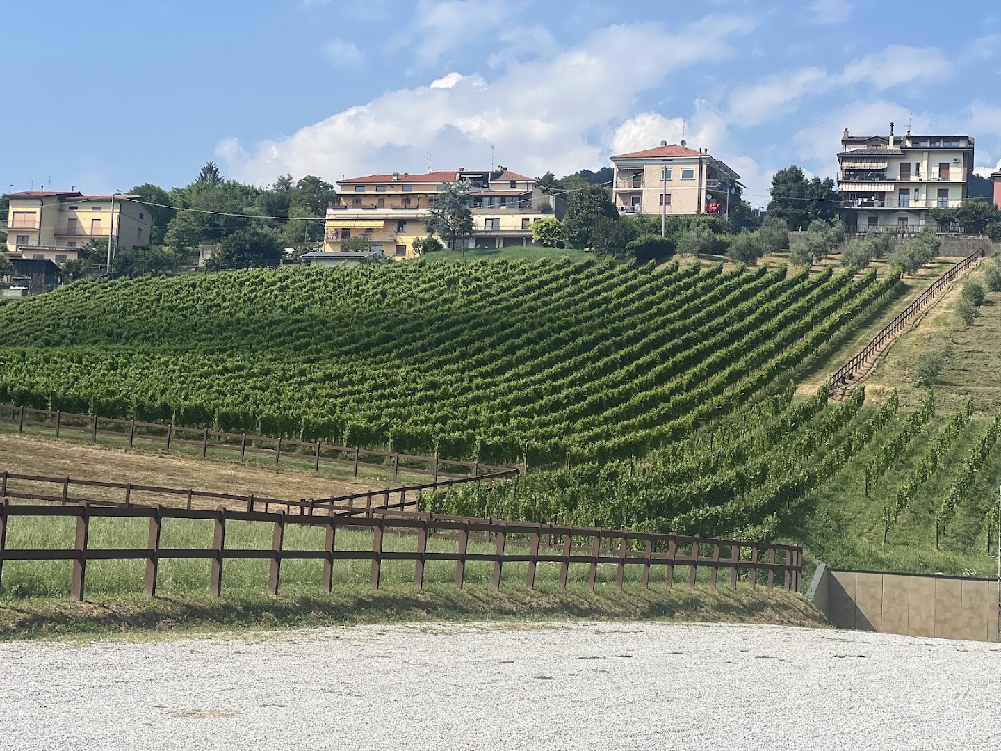Cantina Martinelli (Cascina San Giovanni) - Moscato di Scanzo DOCG, Scanzorosciate