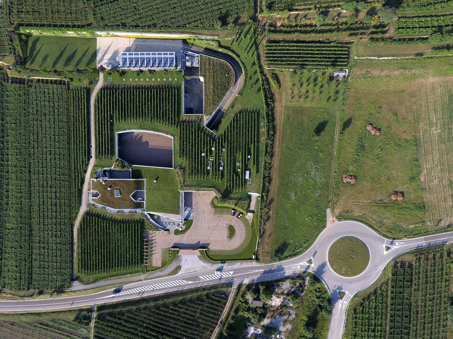 Cantina Mori Colli Zugna